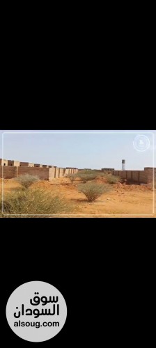 بيت للبيع الاسكان 73 ابوسعد