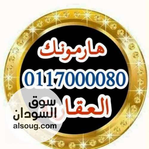 طابق ارضي يثرب مربع 6 مؤسس
