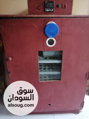 فقاسة بيض فل أوتوماتيك - صورة رقم 4