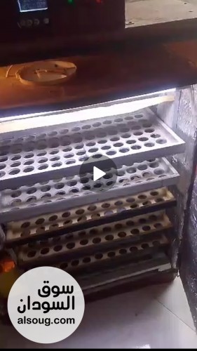فقاسة بيض فل أوتوماتيك