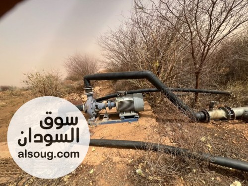 دينا بشير للتسويق --`مشروع زراعي للبيع بغرض السفر` --✅ *الموقع شرق الن - صورة رقم 12