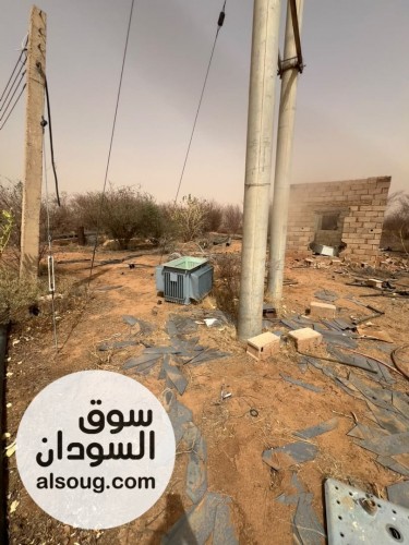 دينا بشير للتسويق --`مشروع زراعي للبيع بغرض السفر` --✅ *الموقع شرق الن - صورة رقم 7
