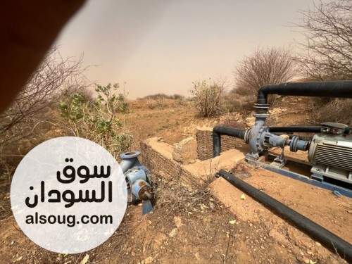 دينا بشير للتسويق --`مشروع زراعي للبيع بغرض السفر` --✅ *الموقع شرق الن - صورة رقم 11