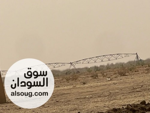 دينا بشير للتسويق --`مشروع زراعي للبيع بغرض السفر` --✅ *الموقع شرق الن - صورة رقم 3