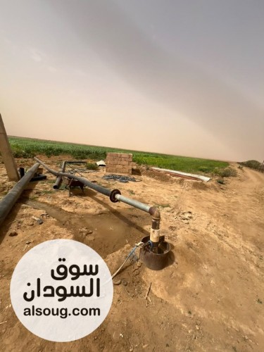 دينا بشير للتسويق --`مشروع زراعي للبيع بغرض السفر` --✅ *الموقع شرق الن - صورة رقم 15