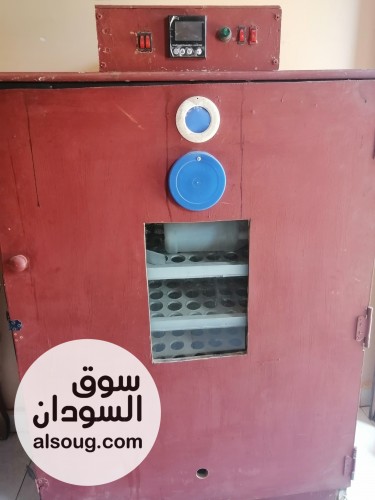 فقاسة بيض فل أوتوماتيك سعة 375 بيضة شاشة رقمية ونظام اقتصادي مع حضانة