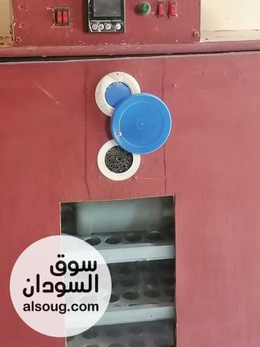 فقاسة بيض فل أوتوماتيك سعة 375 بيضة شاشة رقمية ونظام اقتصادي مع حضانة - صورة رقم 10