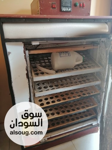 فقاسة بيض فل أوتوماتيك سعة 375 بيضة شاشة رقمية ونظام اقتصادي مع حضانة - صورة رقم 14