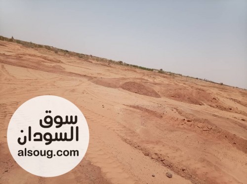 *للبيع أرض زراعية الريف الشمالي**المساحة*: 10 فدان *الموقع*: محلية كر - Image # 2