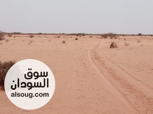 *للبيع أرض زراعية الريف الشمالي**المساحة*: 10 فدان *الموقع*: محلية كر