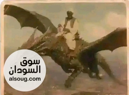 :لا تسأل الشباب لماذا غادرت أوطانها بل اسلوا الظروف التي اجبرتهم لا ال - صورة رقم 2