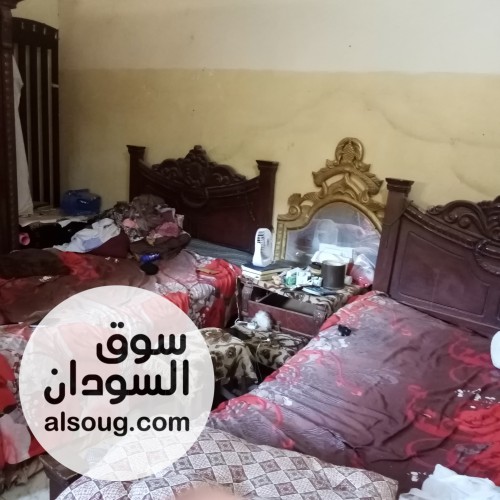 لدينا شقه مفروشه ارضيه العماره تفتح على ظلط شارع الردميه  - صورة رقم 8