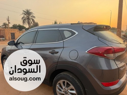  - صورة رقم 5