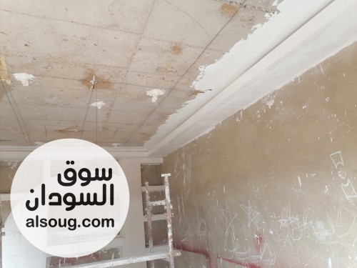 أبو سراج لأعمال الجبس والديكور والجبس بورد - صورة رقم 9