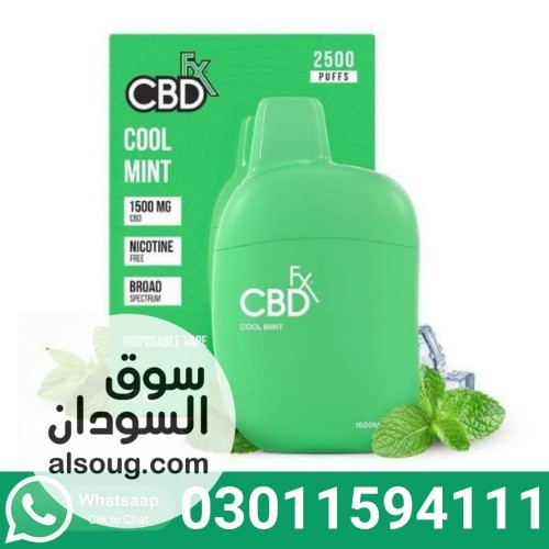 CBD Vape Pen Cool Mint In Pakistan