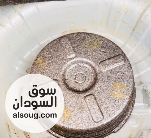 كلك بوكو 2004كرتونة - صورة رقم 2
