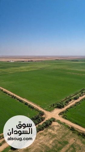 مشروع جاهز للبيع في الشمالية