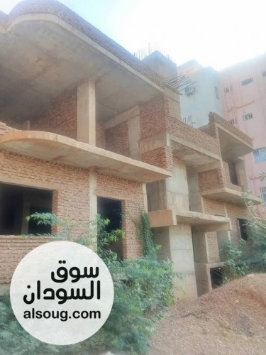 هيكل 600م بكافوري 8 600م
