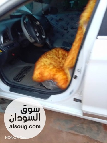 للبيع افانتي 2016.الشكل الجديد مفتاح. لوحه خ5 - صورة رقم 4
