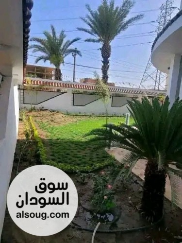 مبنى جميل جدا للإيجار بكافوري - صورة رقم 3