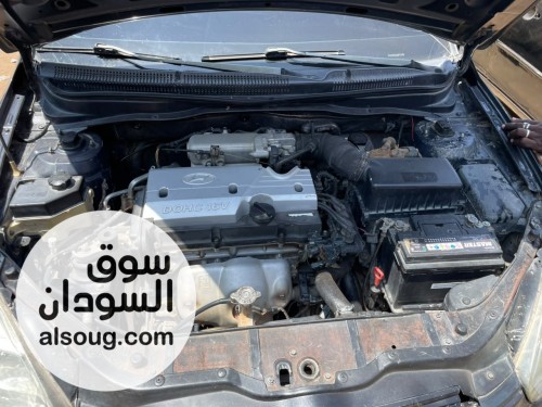 اكسنت دبدوب - صورة رقم 9