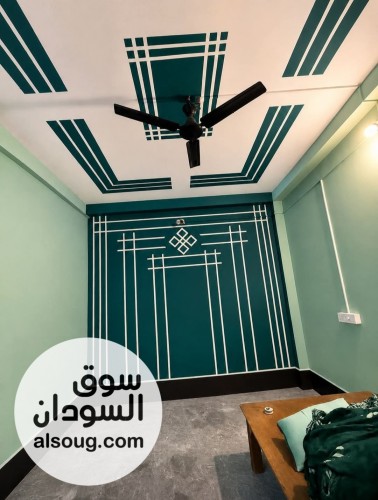 معلم نقاشة جاهز للشغل فوراً-خبرة في النقاشة والتشطيبات، شغل متقن - صورة رقم 9