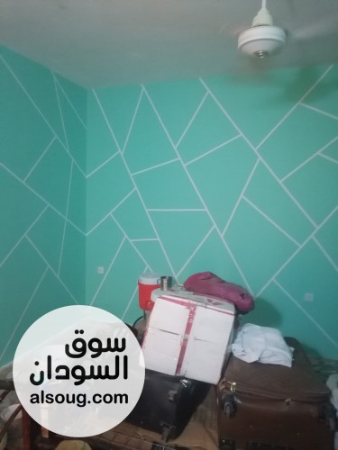 معلم نقاشة جاهز للشغل فوراً-خبرة في النقاشة والتشطيبات، شغل متقن - صورة رقم 2