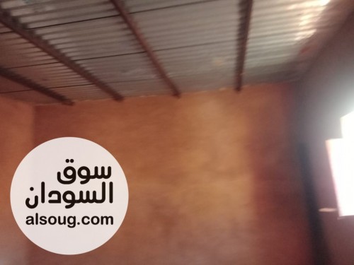 للبيع الحاج يوسف-الشقلة شمال-مربع ( 5 )-جوار مسجد ود الاعسر -المساحة ٢ - صورة رقم 3