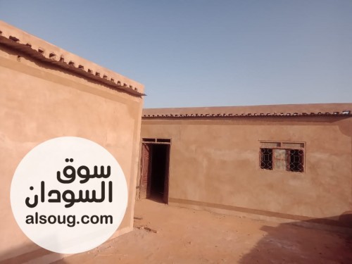للبيع الحاج يوسف-الشقلة شمال-مربع ( 5 )-جوار مسجد ود الاعسر -المساحة ٢ - صورة رقم 2