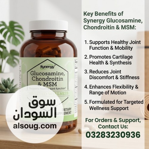 Vitacost Synergy Glucosamine Chondroitin MSM 240 Capsules Price in Chi