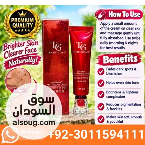 FV Forever Makeup Foundation