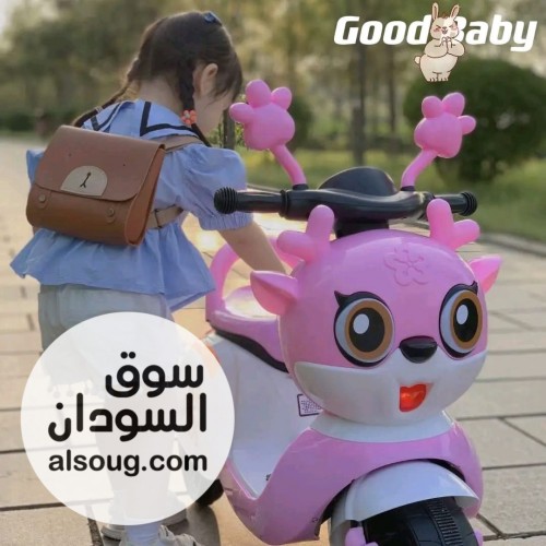حصصصصصل العررررررررض - صورة رقم 3