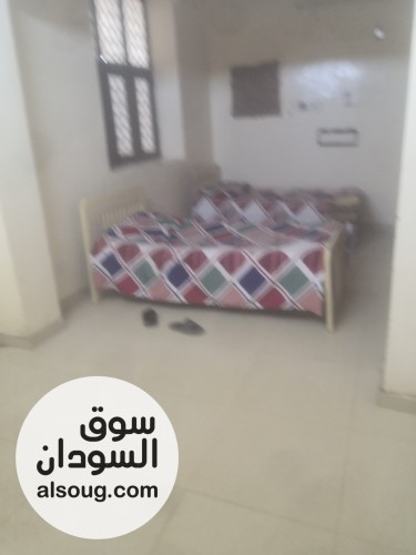 شقه مفروشة لاايجار الثوره الحاره العاشره - صورة رقم 2