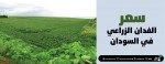 سعر الفدان الزراعي في السودان