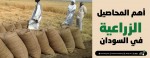 اهم المحاصيل الزراعية في السودان