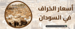أسعار الخرفان في السودان 2022