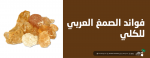 فوائد الصمغ العربي للكلى